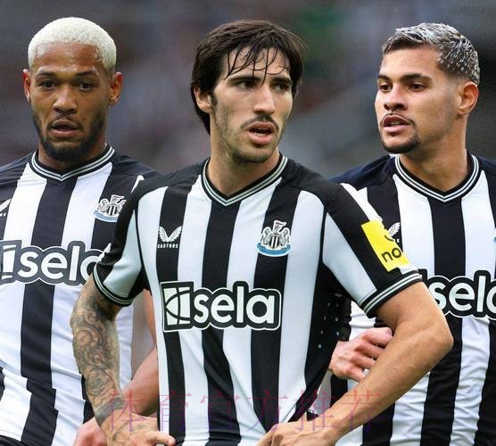 电讯报:纽卡接近和吉马良斯续约 皇马仍在关注他